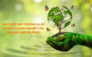 giấy phép môi trường là gì