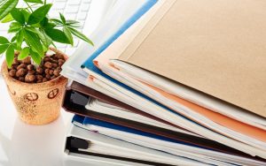 hồ sơ xin cấp giấy phép môi trường