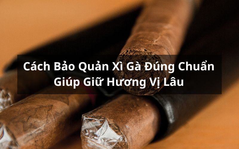 cách bảo quản xì gà
